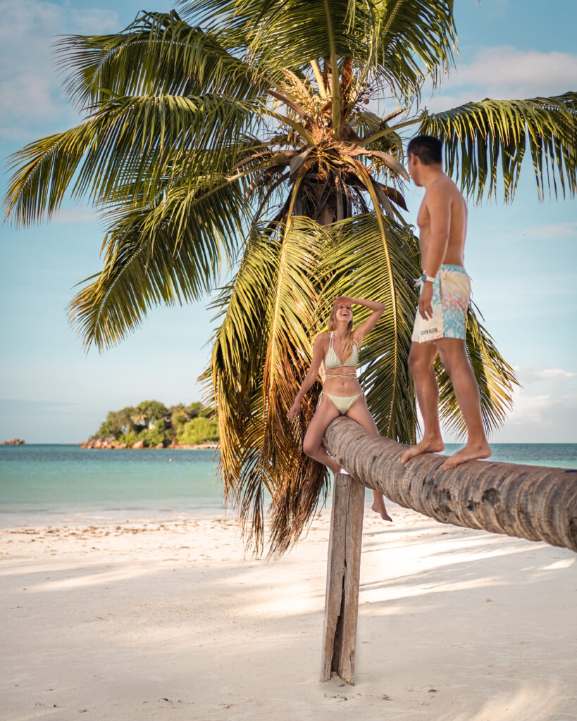 Seychellen Inselhopping - 2. Insel: Praslin
relaxen im Paradies auf einer Palme am Anse Volbert