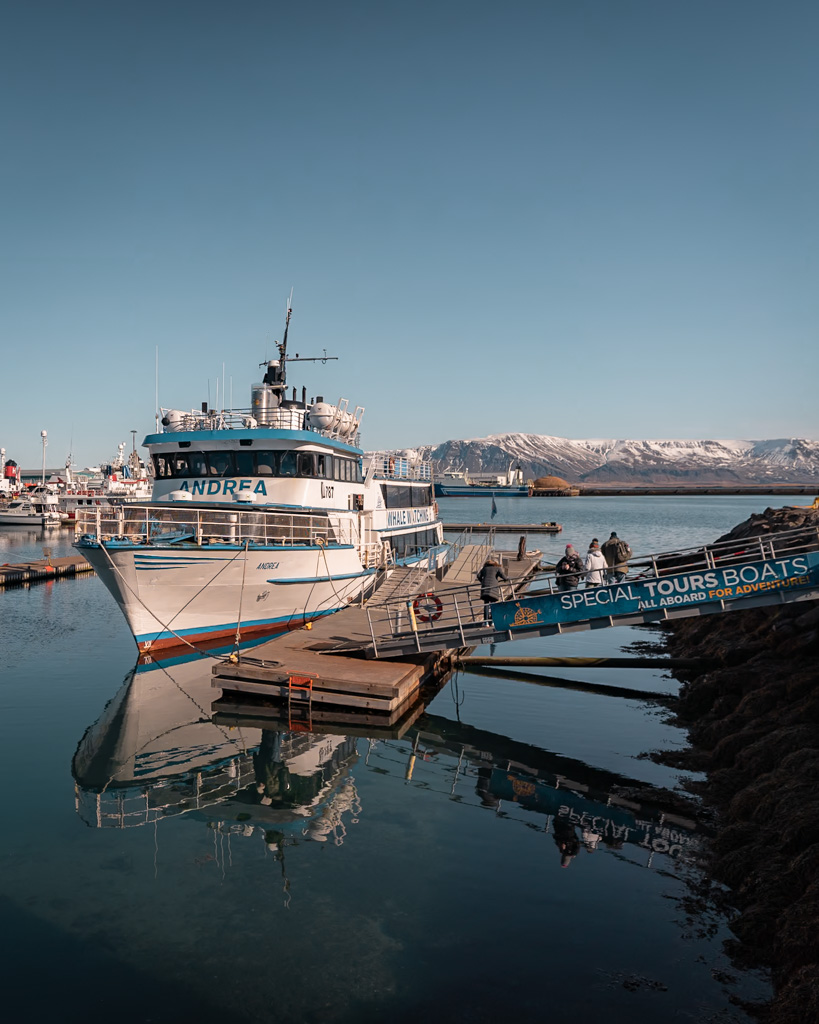 Island Rundreise - Walbeobachtungstour, Boot im Hafen von Reykjavik