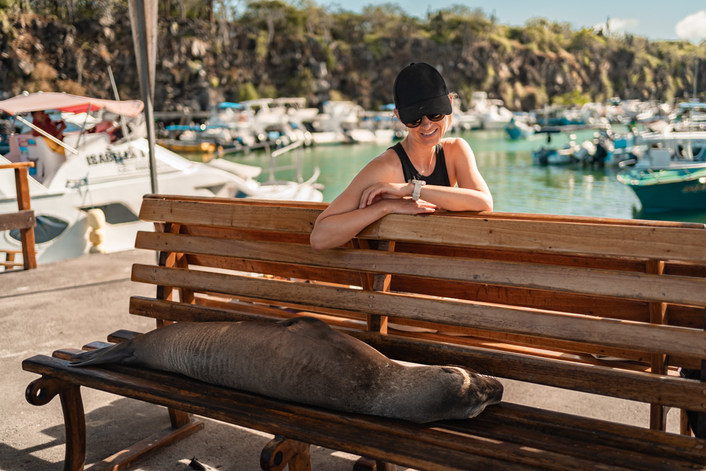 Seelöwe entspannt auf Bank auf Santa Cruz Galapagos